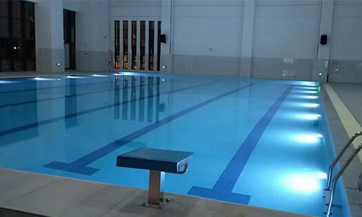 蘑菇视频在线官网的環境