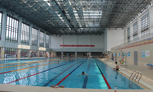 遊蘑菇视频在线官网遊泳