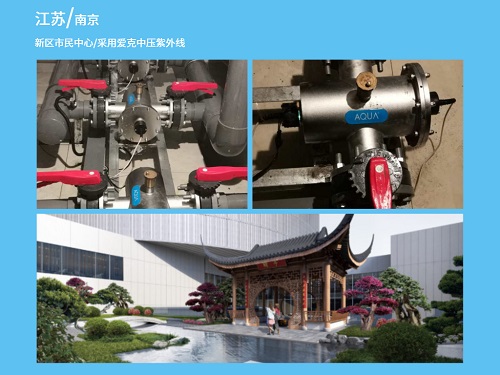 蘑菇视频在线观看紫外線南京蘑菇视频APP在线观看