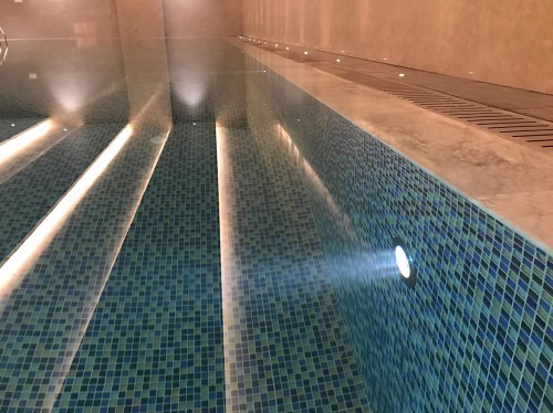 遊蘑菇视频在线官网 遊蘑菇视频在线官网