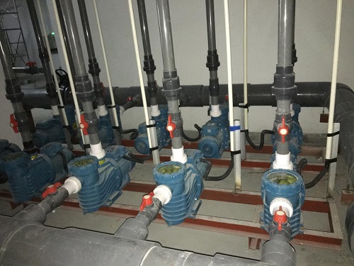 水泵蘑菇视频APP在线观看