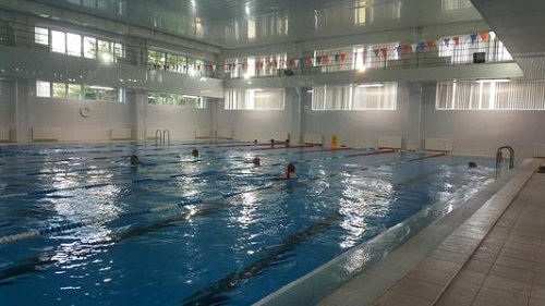 蘑菇视频在线官网