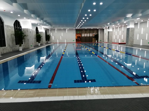 遊蘑菇视频在线官网 遊蘑菇视频在线官网