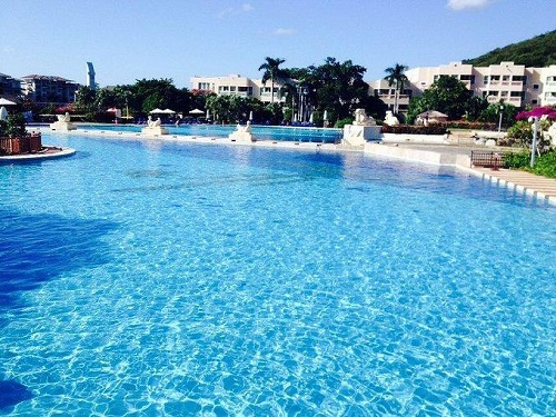 遊蘑菇视频在线官网