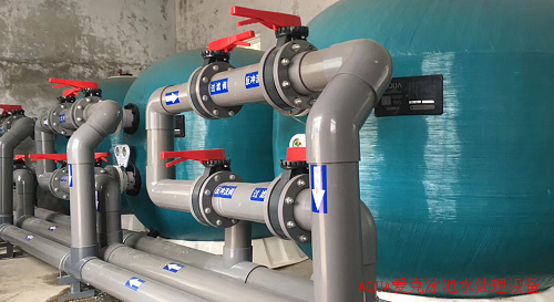 砂缸蘑菇视频APP在线观看