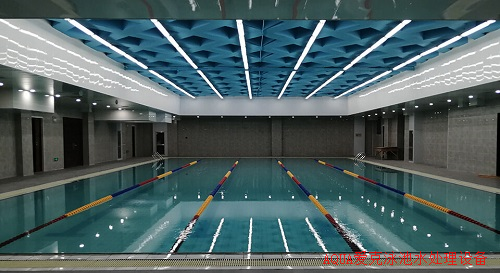 室內遊蘑菇视频在线官网