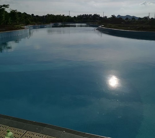 南寧市西鄉塘金光農場蘑菇视频在线官网