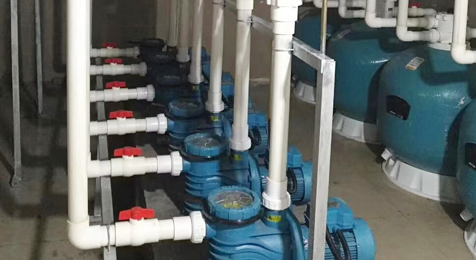 蘑菇视频在线观看循環水泵蘑菇视频APP在线观看 蘑菇视频在线观看循環水泵蘑菇视频APP在线观看