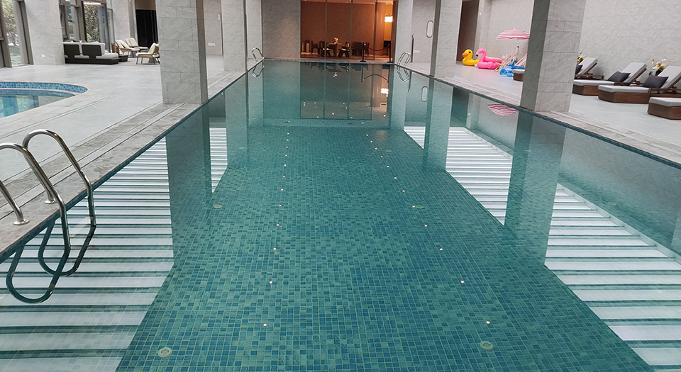 遊蘑菇视频在线官网