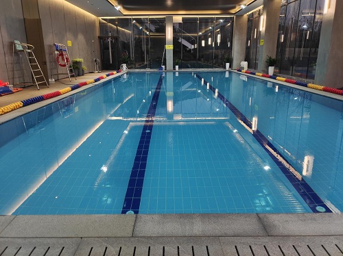 遊蘑菇视频在线官网