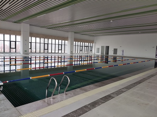 網龍星紀園小學蘑菇视频在线官网