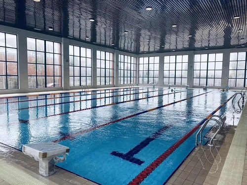 學院蘑菇视频在线官网