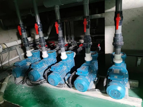 蘑菇视频在线官网水泵 蘑菇视频在线官网水泵