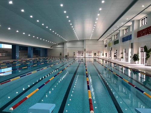 遊蘑菇视频在线官网