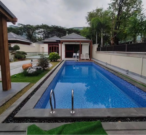 遊蘑菇视频在线官网