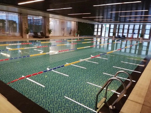 遊蘑菇视频在线官网