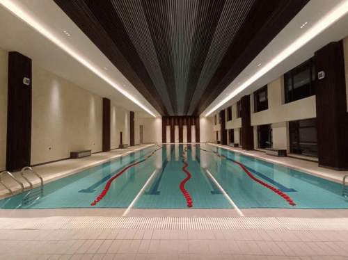 室內遊蘑菇视频在线官网