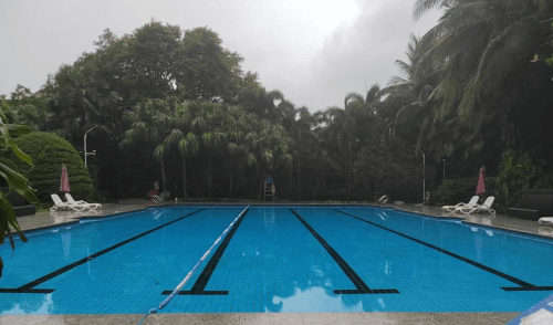 酒店遊蘑菇视频在线官网