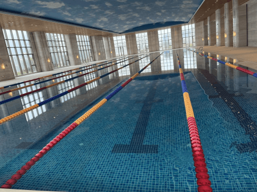 室內遊蘑菇视频在线官网