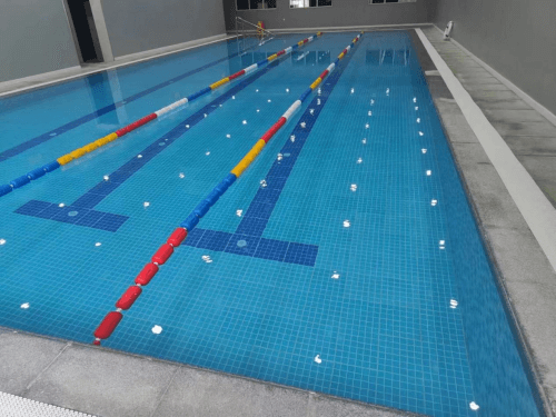 室內蘑菇视频在线官网