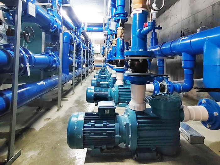 蘑菇视频在线观看蘑菇视频在线官网水泵