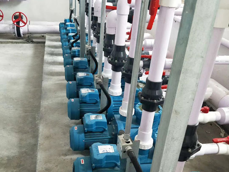 蘑菇视频在线观看蘑菇视频在线官网水泵