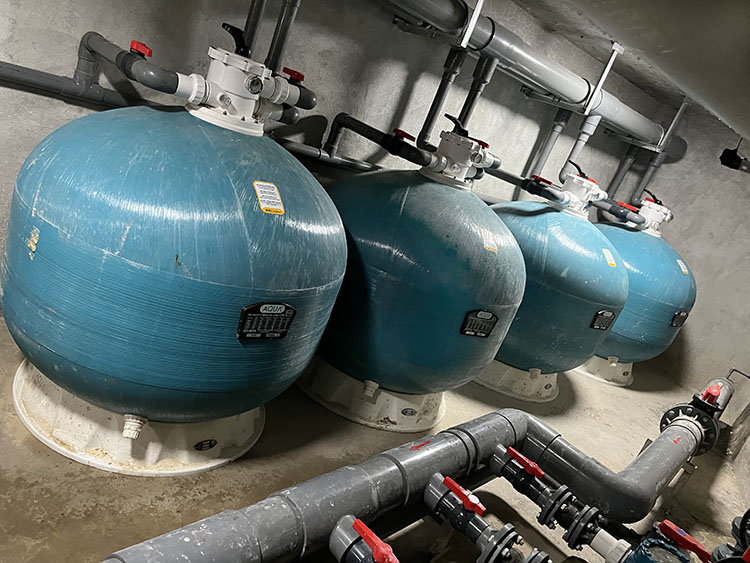 蘑菇视频在线观看砂缸