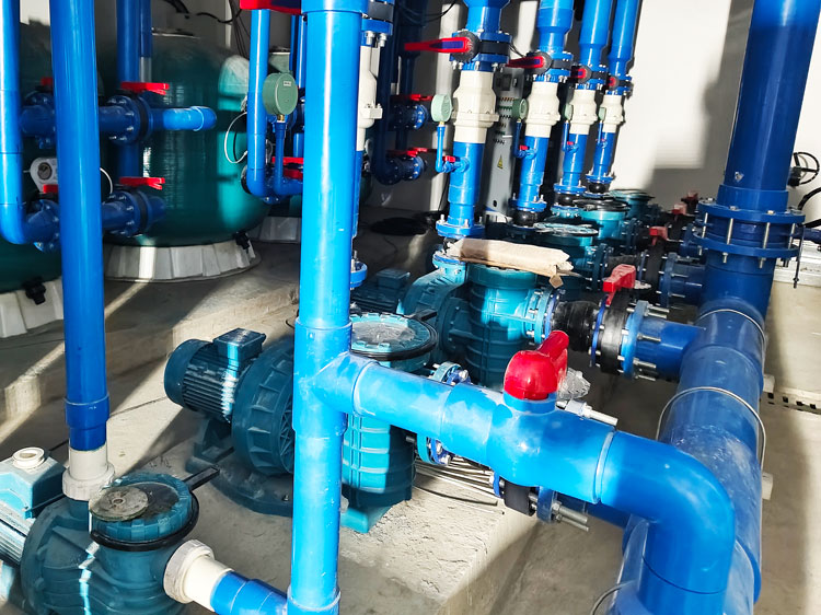 蘑菇视频在线观看蘑菇视频在线官网水泵